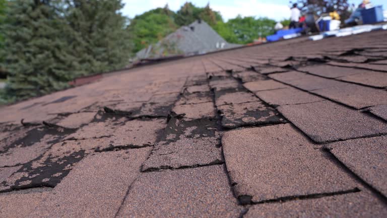 Best Roofing for New Construction  in Mitchell, NE